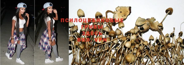 мдпв Армянск